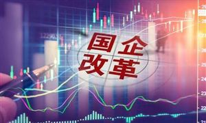 2024年寵物用品行業(yè)發(fā)展現(xiàn)狀及發(fā)展趨勢分析(圖2)