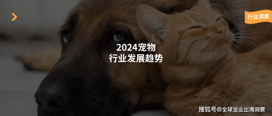 熊貓?bào)w育：2024年寵物行業(yè)的主要趨勢(shì)有哪些？這篇文章多角度為你分析(圖1)