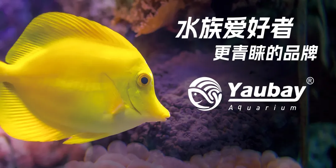 展訊動態(tài)丨Yaubay精彩亮相 2024第28屆中國國際寵物水族展覽會(圖1)