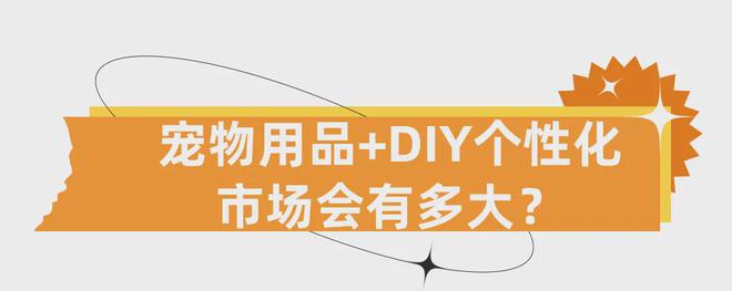 DIY小眾產(chǎn)品賺大錢！個性化寵物用品增長跨境新賽道！(圖1)