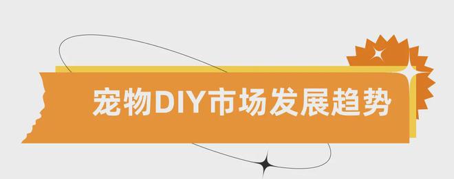 DIY小眾產(chǎn)品賺大錢！個性化寵物用品增長跨境新賽道！(圖6)