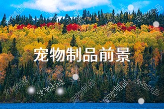 熊貓體育：2024年寵物制品發(fā)展前景 趨勢預(yù)測