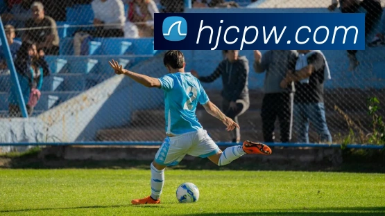 登录器 登录器